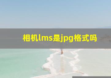 相机lms是jpg格式吗