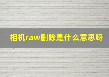 相机raw删除是什么意思呀