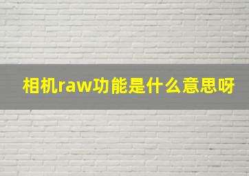 相机raw功能是什么意思呀