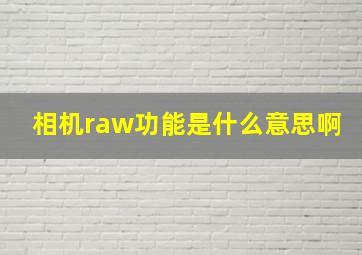 相机raw功能是什么意思啊