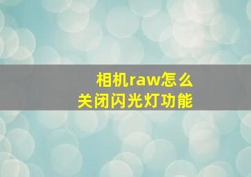 相机raw怎么关闭闪光灯功能