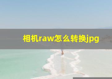 相机raw怎么转换jpg