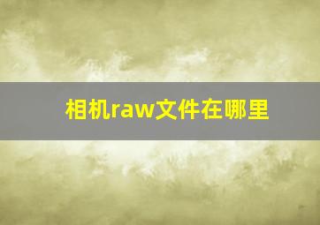 相机raw文件在哪里