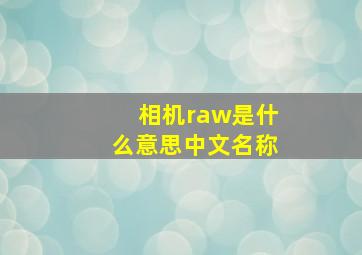 相机raw是什么意思中文名称