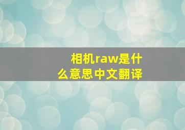 相机raw是什么意思中文翻译