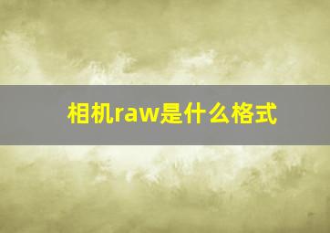 相机raw是什么格式