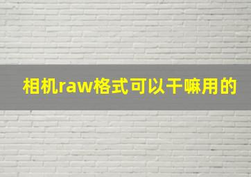 相机raw格式可以干嘛用的