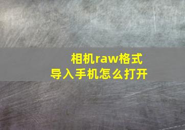 相机raw格式导入手机怎么打开