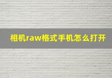 相机raw格式手机怎么打开