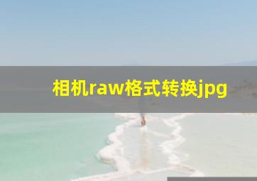 相机raw格式转换jpg