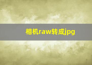 相机raw转成jpg