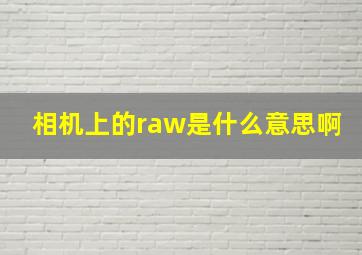 相机上的raw是什么意思啊