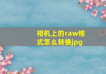 相机上的raw格式怎么转换jpg