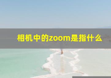 相机中的zoom是指什么