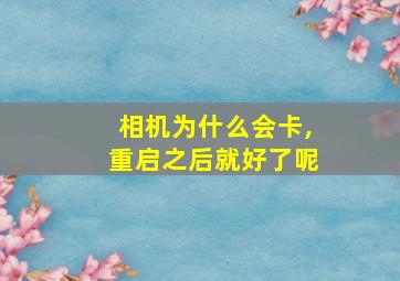 相机为什么会卡,重启之后就好了呢