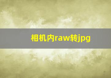 相机内raw转jpg