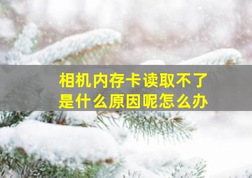 相机内存卡读取不了是什么原因呢怎么办