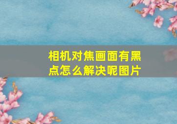 相机对焦画面有黑点怎么解决呢图片