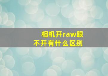 相机开raw跟不开有什么区别