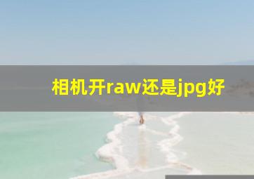 相机开raw还是jpg好