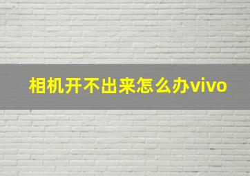 相机开不出来怎么办vivo