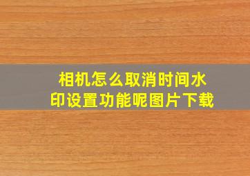 相机怎么取消时间水印设置功能呢图片下载