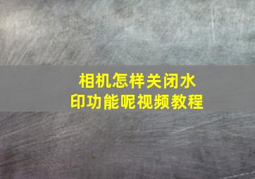 相机怎样关闭水印功能呢视频教程