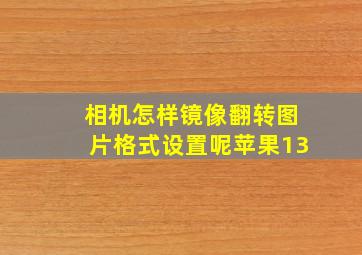 相机怎样镜像翻转图片格式设置呢苹果13