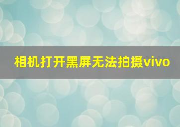 相机打开黑屏无法拍摄vivo