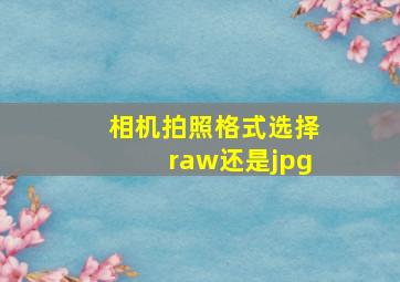 相机拍照格式选择raw还是jpg