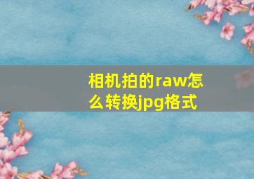 相机拍的raw怎么转换jpg格式