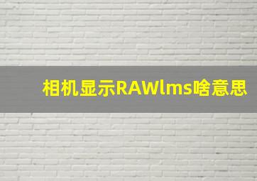 相机显示RAWlms啥意思