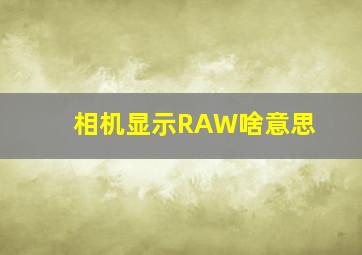 相机显示RAW啥意思