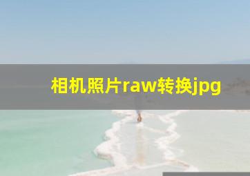 相机照片raw转换jpg