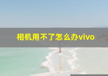 相机用不了怎么办vivo