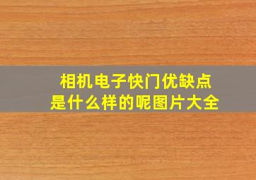 相机电子快门优缺点是什么样的呢图片大全