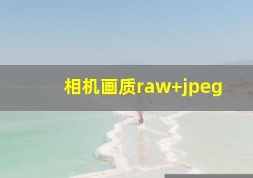 相机画质raw+jpeg