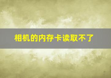 相机的内存卡读取不了