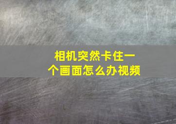 相机突然卡住一个画面怎么办视频