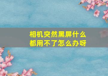 相机突然黑屏什么都用不了怎么办呀