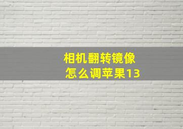 相机翻转镜像怎么调苹果13