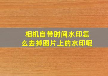 相机自带时间水印怎么去掉图片上的水印呢