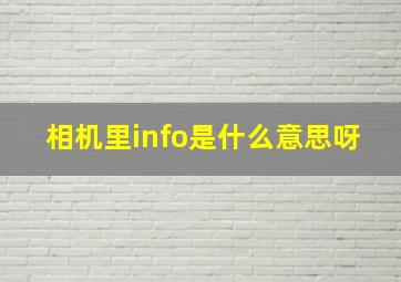 相机里info是什么意思呀