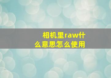 相机里raw什么意思怎么使用