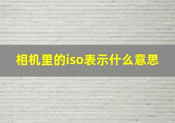 相机里的iso表示什么意思