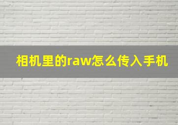 相机里的raw怎么传入手机