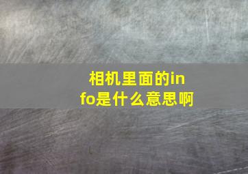 相机里面的info是什么意思啊