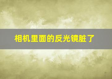 相机里面的反光镜脏了