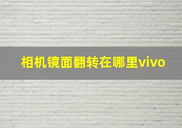 相机镜面翻转在哪里vivo