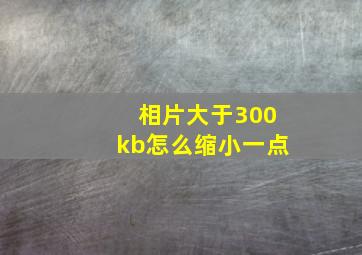 相片大于300kb怎么缩小一点